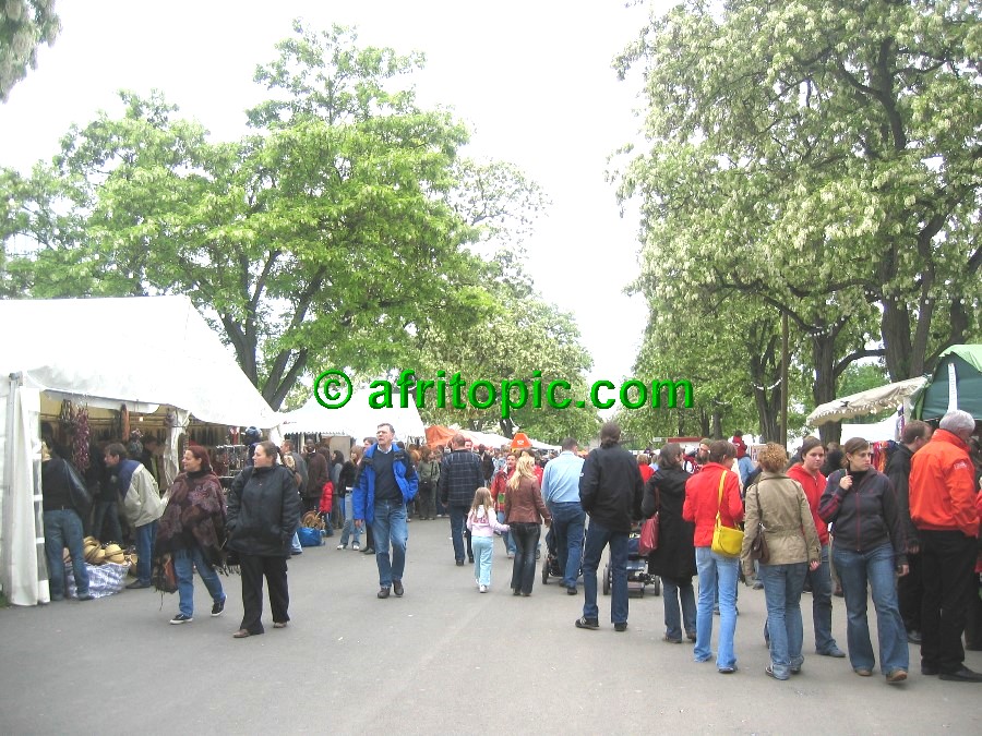 ../Images/afw2006c 103.jpg